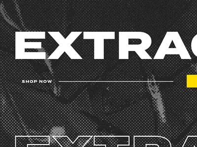 Texture & Type art direction branding design halftone termina texture typography