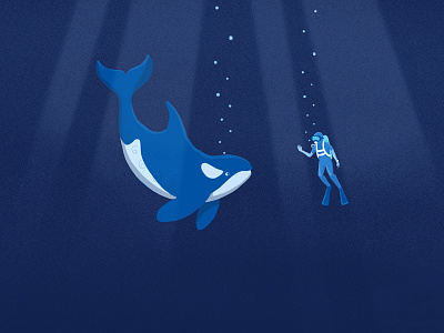 Having a whale of a time calf diving killer whale orca procreate scuba