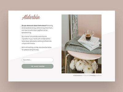 Alderbin signup page. design landing page splash page ui ux website