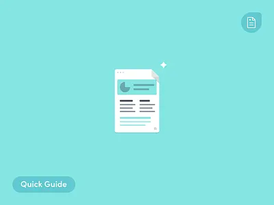 Quick Guide alliioop blog doc ecommerce illustrations quick guide