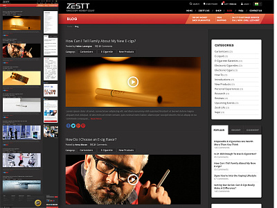 Zestt Web Blog demo design blog demo design web zestt