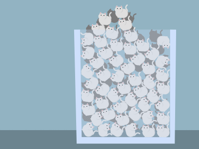 Kitties! kitties me show your