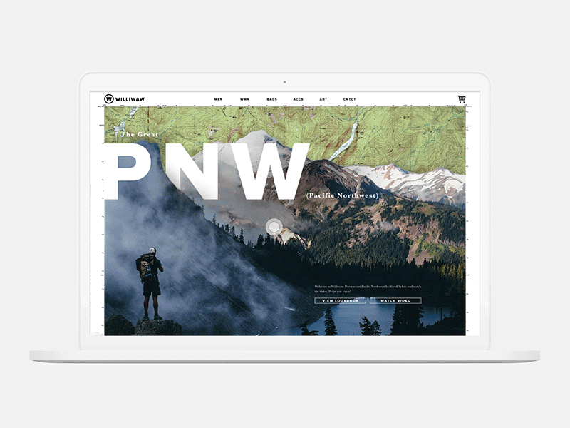 Williwaw Page Load Concept animation homepage interaction layout motion motion design page load transition ui ui design visual design
