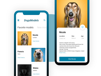 DogsModels - Mobile project agency app blue dog mobile model