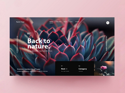 Flower : Hd wallpaper web concept cleanui design exploration fluent grid interaction interface materialon user ux webdesigner white