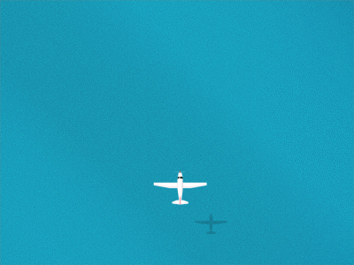 Fly fly