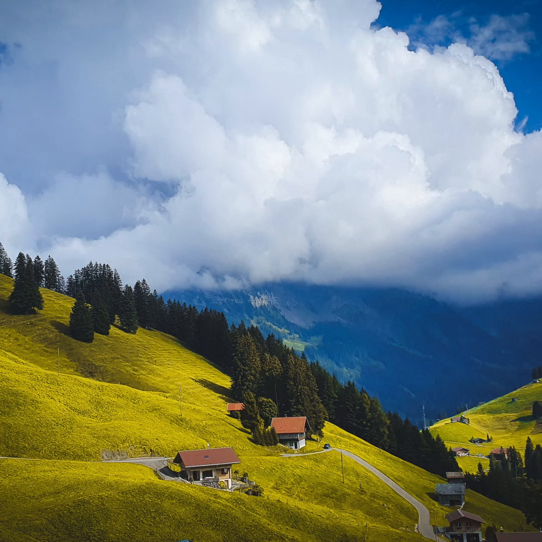 Example of Comprehensive Design And 2 D/3D Animation