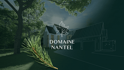 Domaine NANTEL 3d animation app branding concept design creative direction design graphic design identity illustration logo motion graphics real estate typography ui ux vector web website