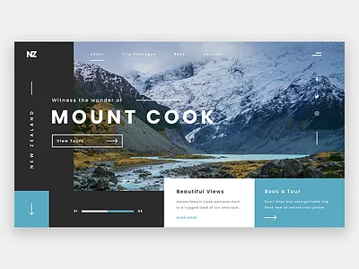 Mount Cook NZ flat hero landing landing page landing screen minimalism new zealand tourism travel ui ux website