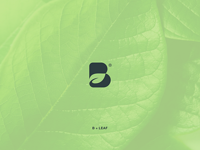 B Leaf logosimpleleafbhealthgreen