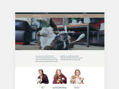 About page — Andrea Arden website digitaldesign dogtraining mobiledesign responsivewebsite userinterfacedesign websitedesign