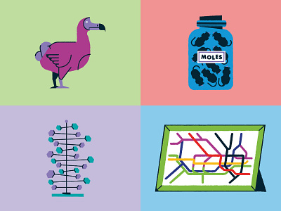 London Stories - Objects Part 3 dna dodo history london moles museum science underground