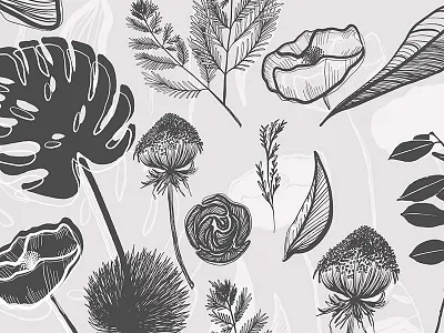 Botanical Garden Illustration Vector Set botanicals digital graphics hand drawn illustrations organic plants vectors