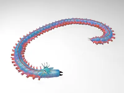 Nereis 3d app 3d model biology character science