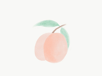 Peach adobesketch colours fruits illustrated ipadpro summer