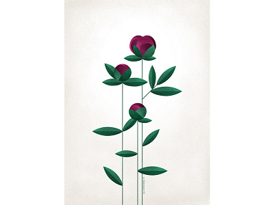 Pretty flower for a pretty lady? flower flowers illustration plants