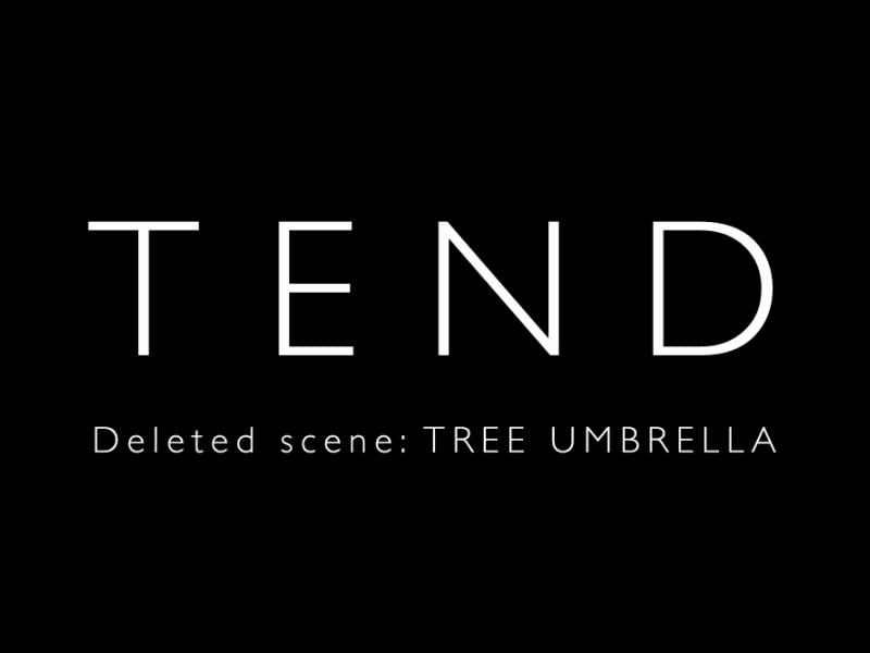 Tree Umbrella animade animatic animation tend tree umbrella