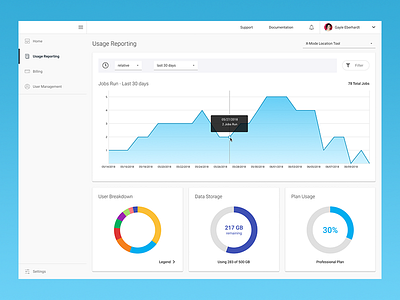 Usage Reporting Dashboard billing charts dashboard filtering graph interface ui usage