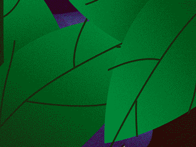 Sweet owl 2d animation forest illustration night owl pretty sweet