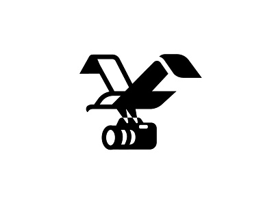 Bird+Camera arabic bird experiment icon identity logo mark symbol