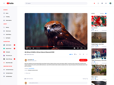 YouTube Redesign Concept Light & Dark Mode concept free google graphic design psd redesign ui uiux user interface youtube youtube concept youtube redesign