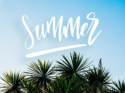 Summer apple pencil branding brushpen hand lettering ipadpro lettering logo logotype procreate typography