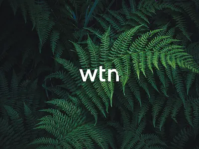Weather The Fern brand identity branding ferns logo minimal photography self branding typography