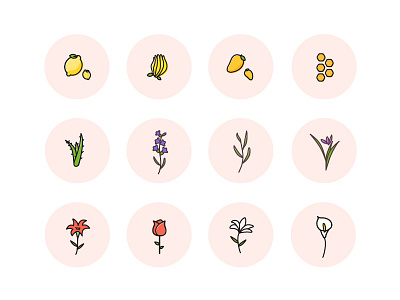 Icon flower fruit honey icon lemon mango rose