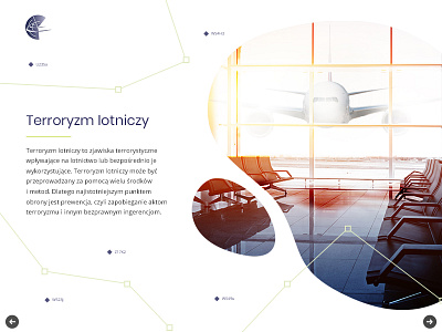 Pansa project aircraft airlines e learning flight ui ui design