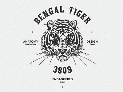 Bengal Tiger Illustration animals badge brand branding digital art graphic design illustration illustrator logo retro tiger typography