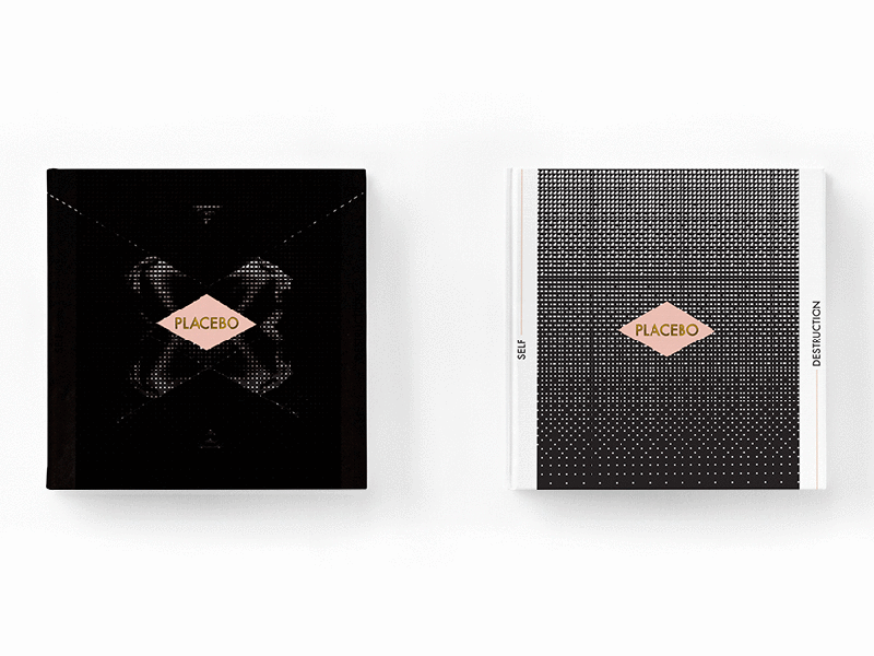 Deluxe Edition cd 2d abstract black branding cd clean deluxe digipack music pastels pink type