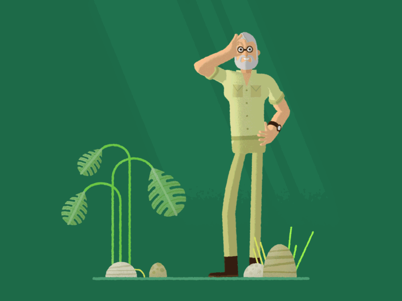 What's That! 🌿 👀 🌿 animation binoculars design gif illustration jungle looping plants safari