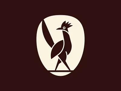 Roadrunner bird fast road roadrunner run runner
