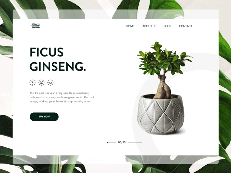 No to flowers, yes to plants animation e commerce icons interface motion design plants shop ui ux