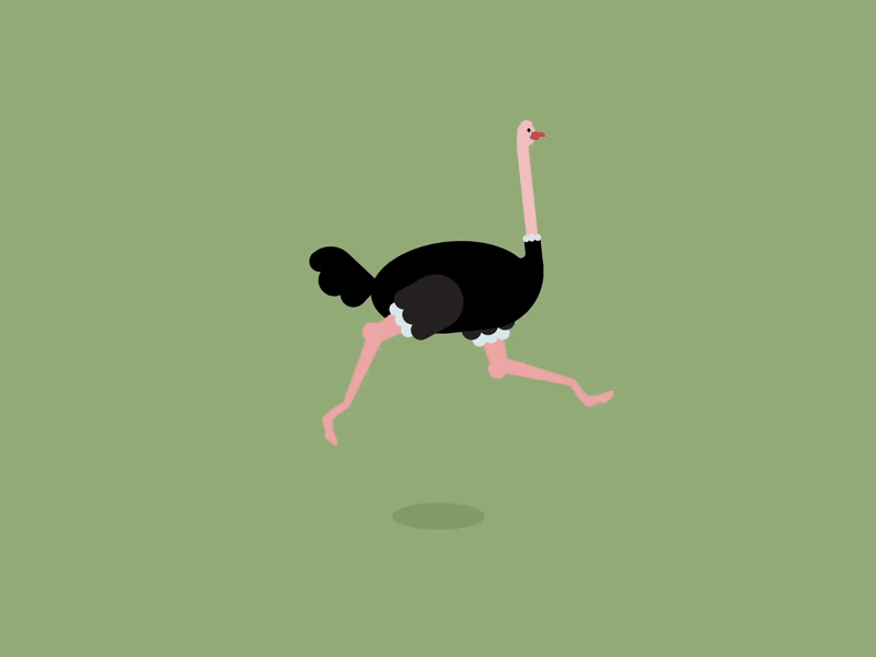 Ostrich Run Cycle animal animation grey microsoft motion motion design ostrich run cycle skype teams