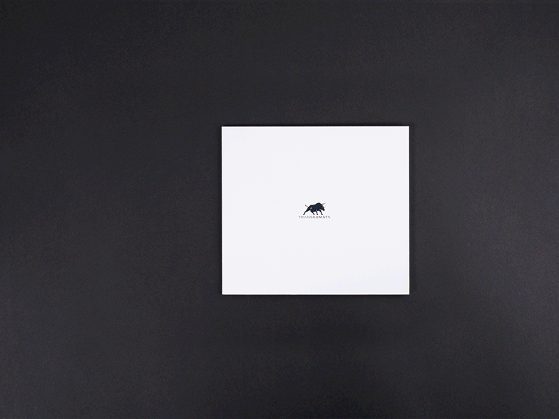 Client Welcome Kit branding brochure bull business kit cargo client kit graphic design kit logistics packaging transportation typography