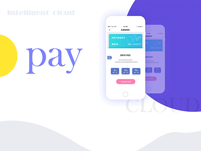 Pay pay ue ui