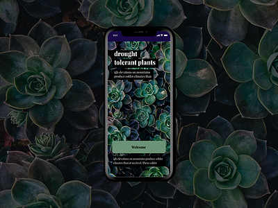 Welcome Screen 2d adobexd app dailyui iphone photoshop ui uiux ux