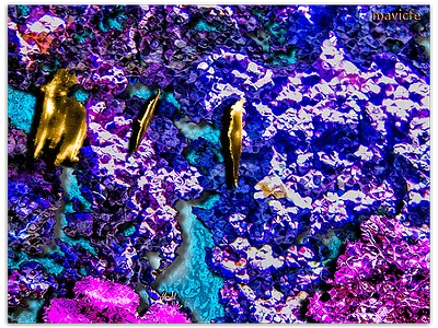 Treasures On The Seabed colorful design digital art graphic art inspiration mavicfe painting photography photoshop seabed