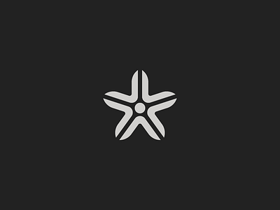 Star Bloom logo shapes