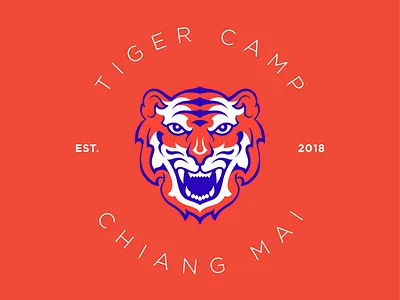 Tiger Camp branding camp illustration logo tiger