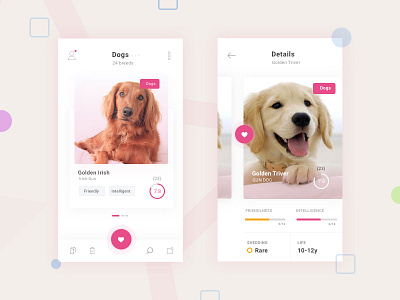 Pet App Design Concept