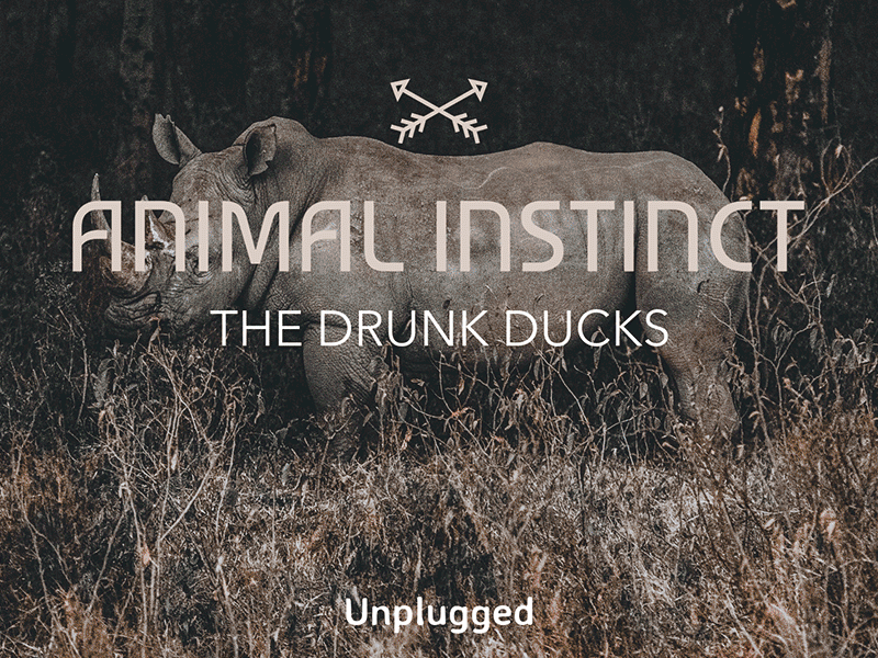 Album Cover Maker with Artistic Graphics album cover design templates personal branding social media