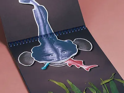 Detail from "What's Up There?" assemblage book collage fish illustration mermaid spiral