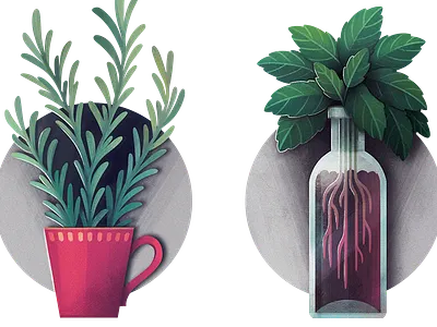Fines herbes editorial illustration vegan zero waste