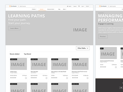 OpenSesame Wireframe challenge design mockup ui ux website wireframe