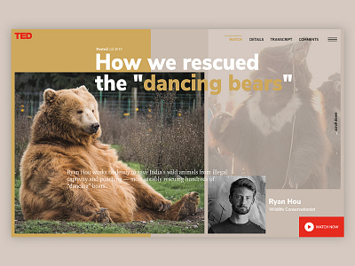 Ted talks: Bears could become extinct animal bear conference person speaker talk ui design ux web design