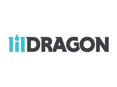 LilDragon branding dragon filmmaker fire