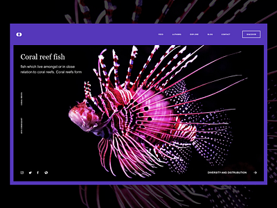 Daily Landing Page 6 2d adobexd dailyui photoshop ui uiux ux web adobe landing page