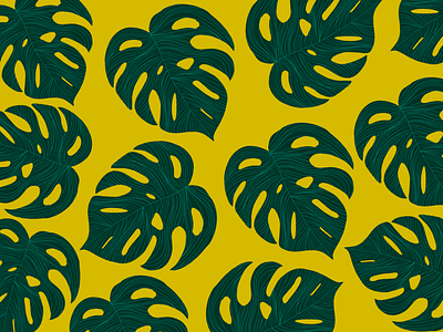 Dreaming of monstera leaf monstera pattern plant plants